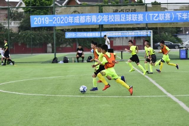 潘展乐夺得全国夏季游泳锦标赛双冠喜讯